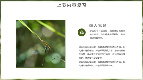 自然风格绿色教育教学通用PPT模板