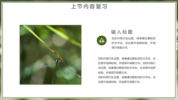 自然风格绿色教育教学通用PPT模板