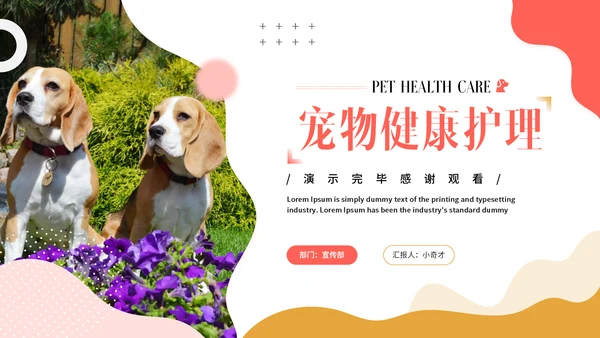 宠物健康护理，狗狗通用PPT模板