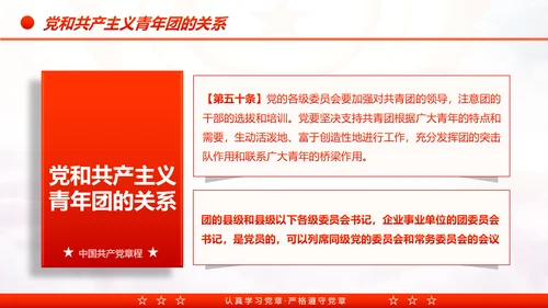 中国共产党章程党章党规学习解读PPT模板