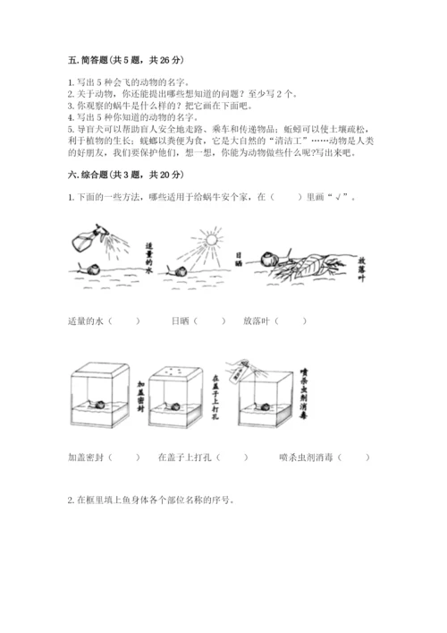 教科版一年级下册科学期末测试卷及参考答案【预热题】.docx
