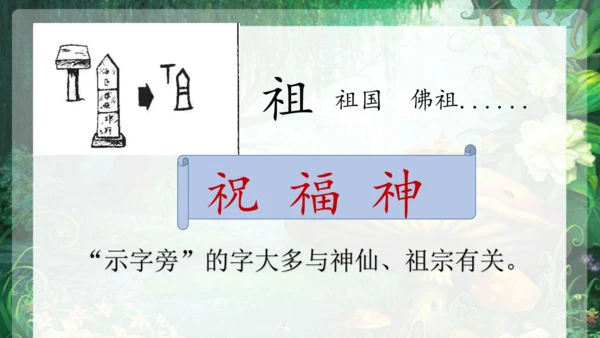 23祖先的摇篮 课件
