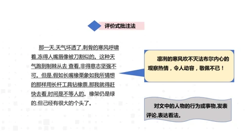 八年级上册语文 第五单元 名著导读《昆虫记》导读 课件