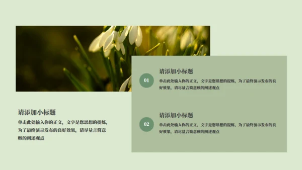 绿色小花工作计划通用PPT模板