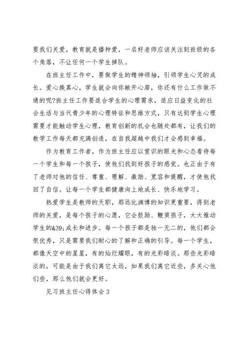 见习班主任的心得体会五篇