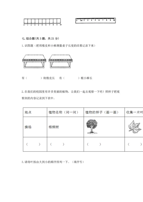 教科版一年级上册科学期末测试卷含完整答案（网校专用）.docx