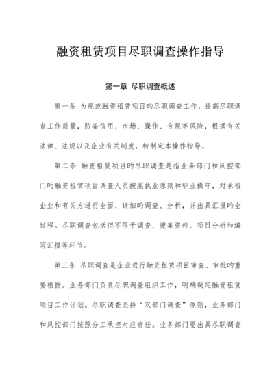 租赁项目尽职调查操作指引.docx