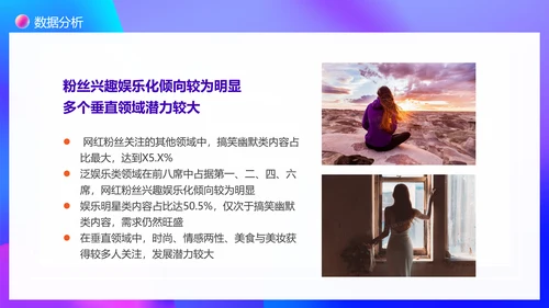 大数据时代下网红现象调查PPT模板