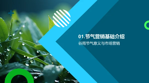 谷雨营销策略