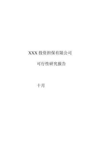 担保公司可行性专题研究报告详细(2).docx