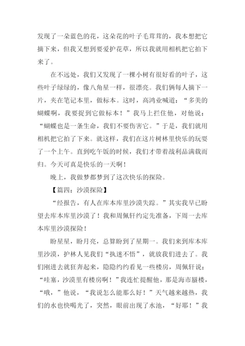 关于探险的作文400.docx