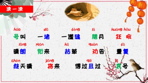 第13课《寒号鸟》课件
