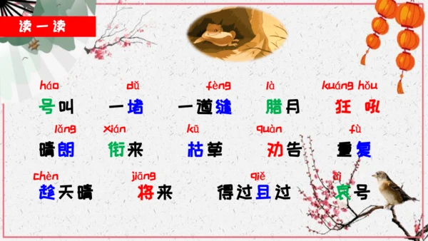 第13课《寒号鸟》课件