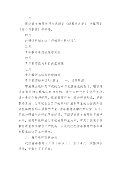 青年教师培养计划.docx