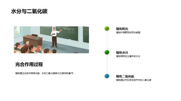揭秘绿色之源