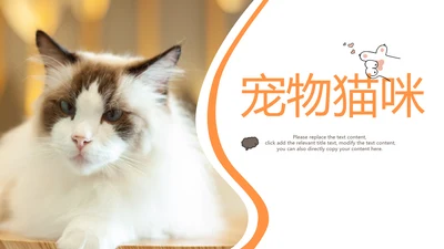 简约风宠物店商业计划书爱宠猫咪PPT模板