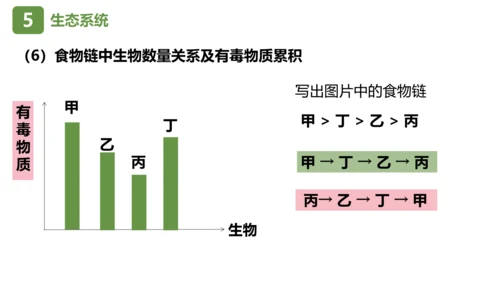 七上第一单元 生物和生物圈复习课件(共26张PPT)