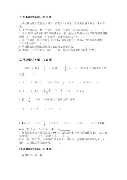 嘉善县六年级下册数学期末测试卷审定版.docx