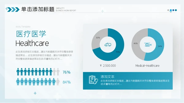 2023简约医疗医护卫生健康工作总结PPT模板