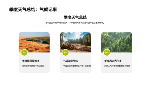 畜牧业季度绩效回顾
