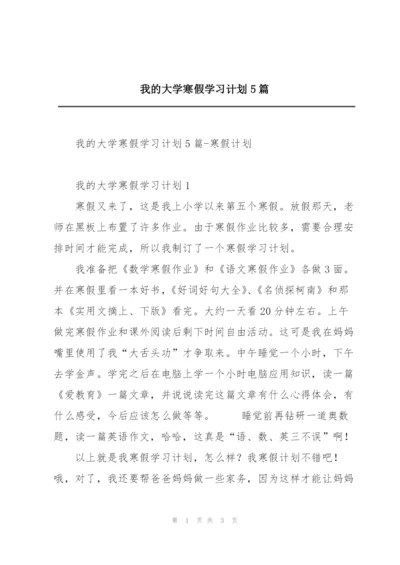 我的大学寒假学习计划5篇.docx