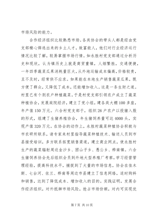 乡镇迎接县人大调研汇报材料.docx