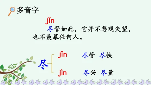 22小毛虫  课件