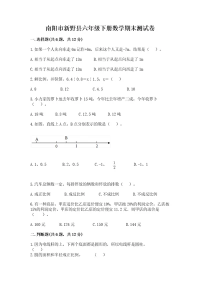 南阳市新野县六年级下册数学期末测试卷及参考答案一套