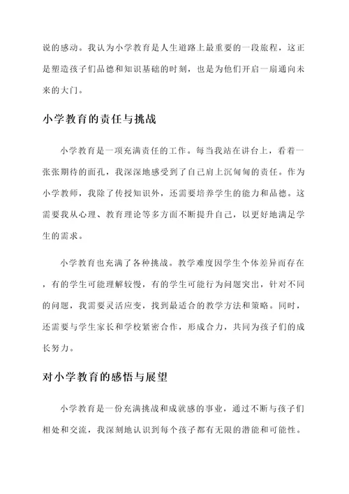 我与小学教育的选择与感想