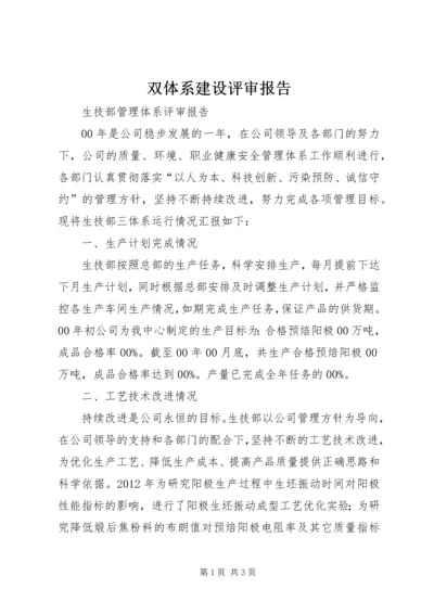 双体系建设评审报告.docx