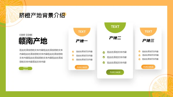 赣南脐橙新鲜上市通用PPT模板