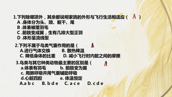 人教版 初中生物七年级上册2.2.2脊椎动物（鸟和哺乳动物）课件(共24张PPT)+ 视频素材