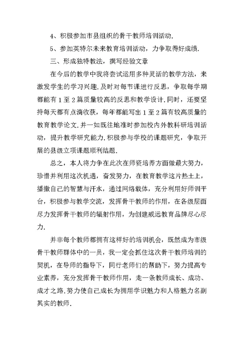 XX教师个人网络研修计划