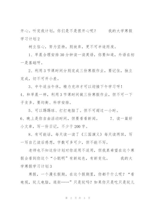 我的大学寒假学习计划5篇.docx