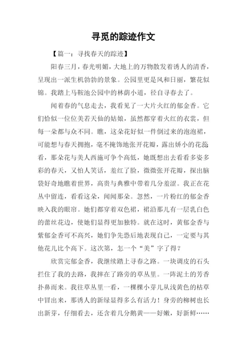 寻觅的踪迹作文.docx