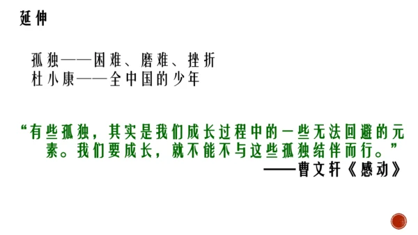 17 孤独之旅 课件