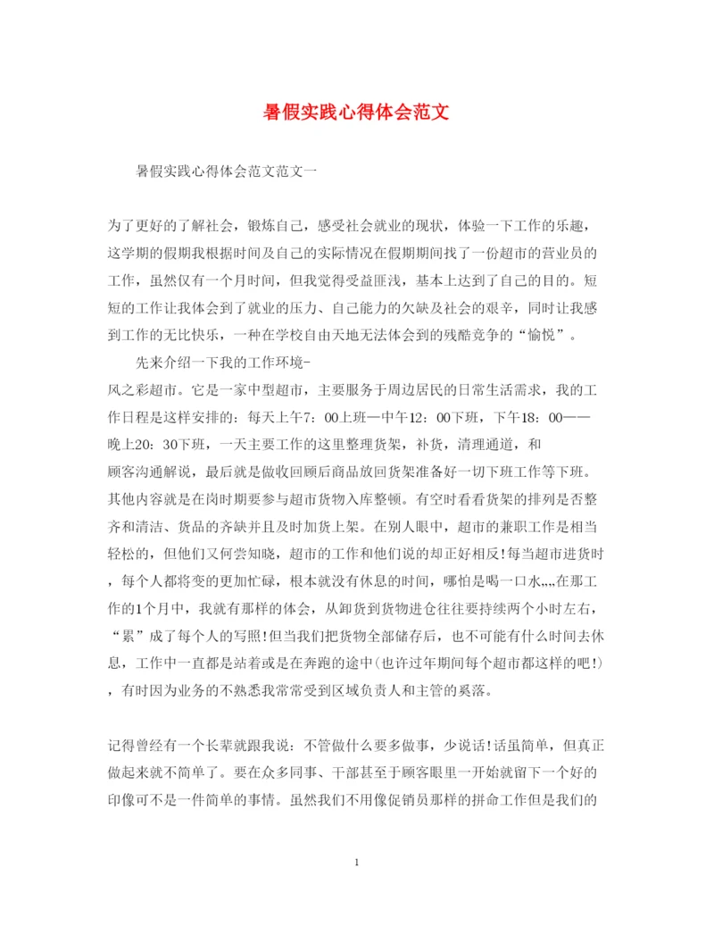 精编暑假实践心得体会范文.docx