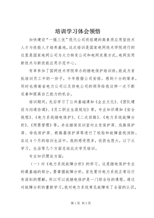 培训学习体会领悟.docx