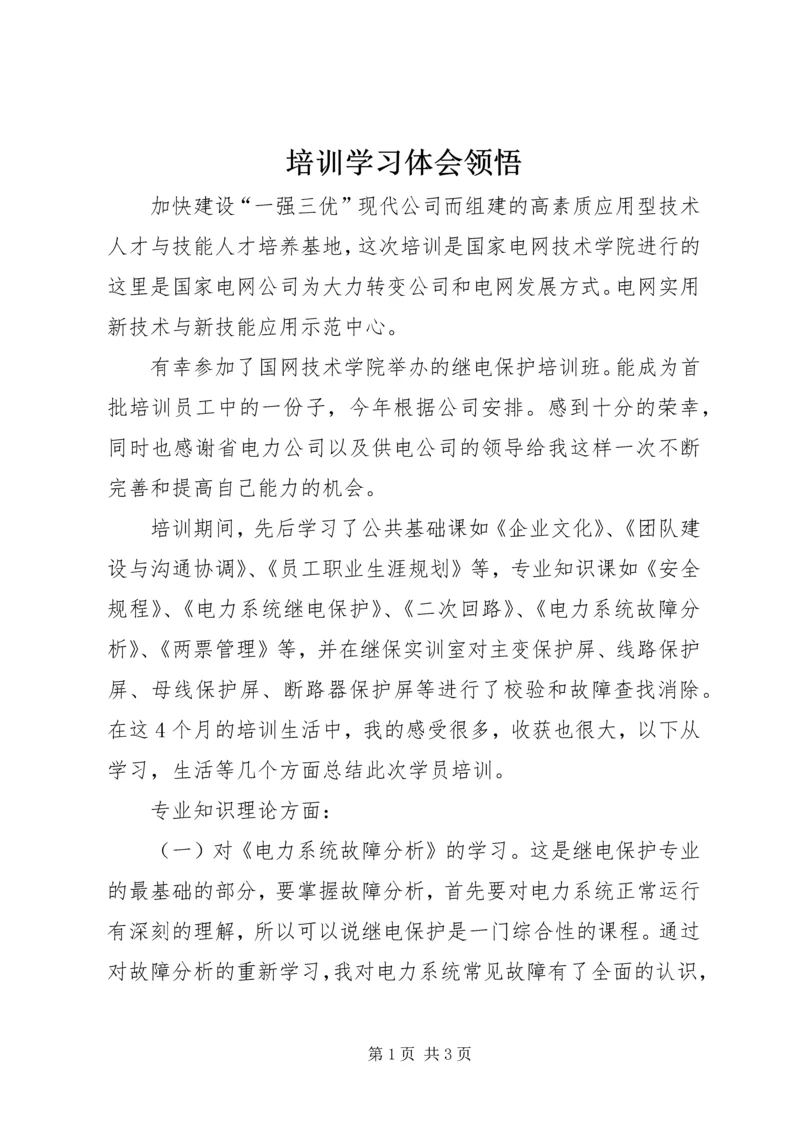 培训学习体会领悟.docx