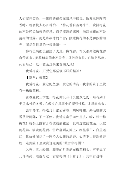 借物喻人的作文600字梅花.docx
