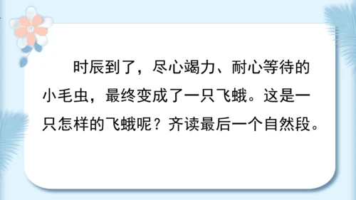 22.小毛虫（第二课时）教学课件