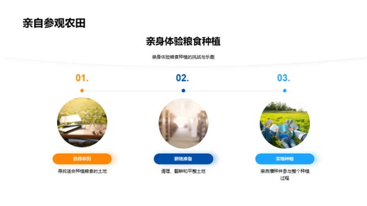 立秋季节与粮食种植