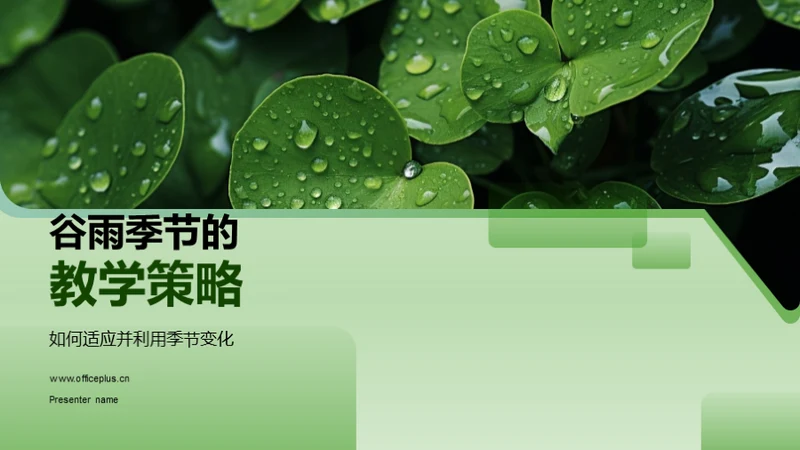 谷雨季节的教学策略