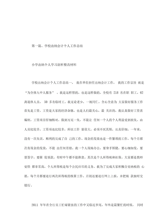 小学出纳个人学习剖析整改材料