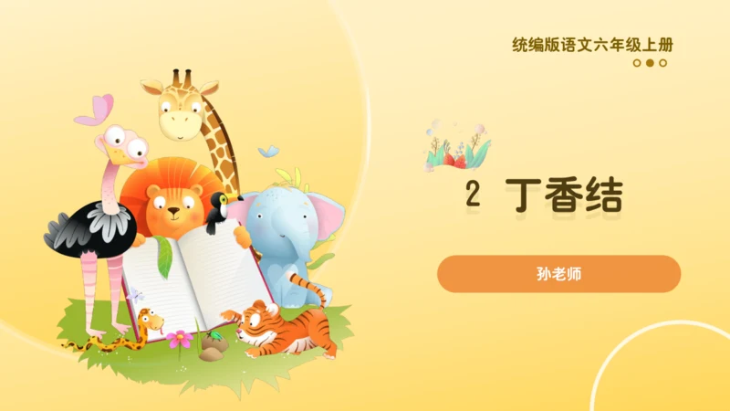 2 丁香结  课件