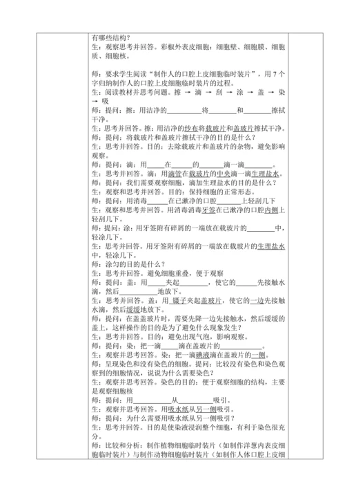 人教版（2024）生物七年级上册 1.2.3 动物细胞（教案)