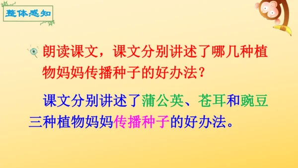 3 植物妈妈有办法  课件