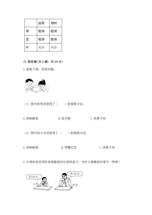 教科版一年级上册科学期末测试卷带答案（b卷）.docx