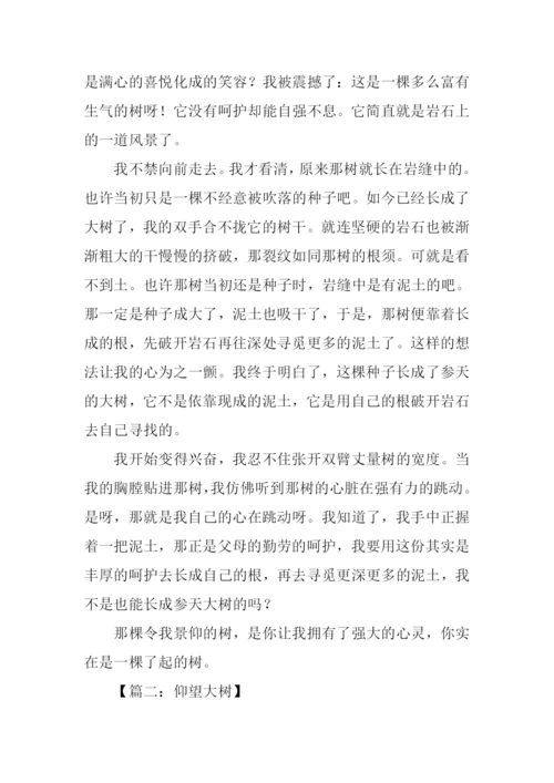 仰望大树作文1000字.docx