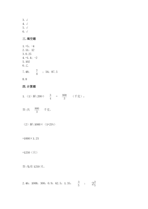 北师大版六年级下册数学期末测试卷审定版.docx